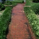 Walkway Cleaning