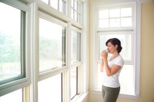 Residential Window Washing